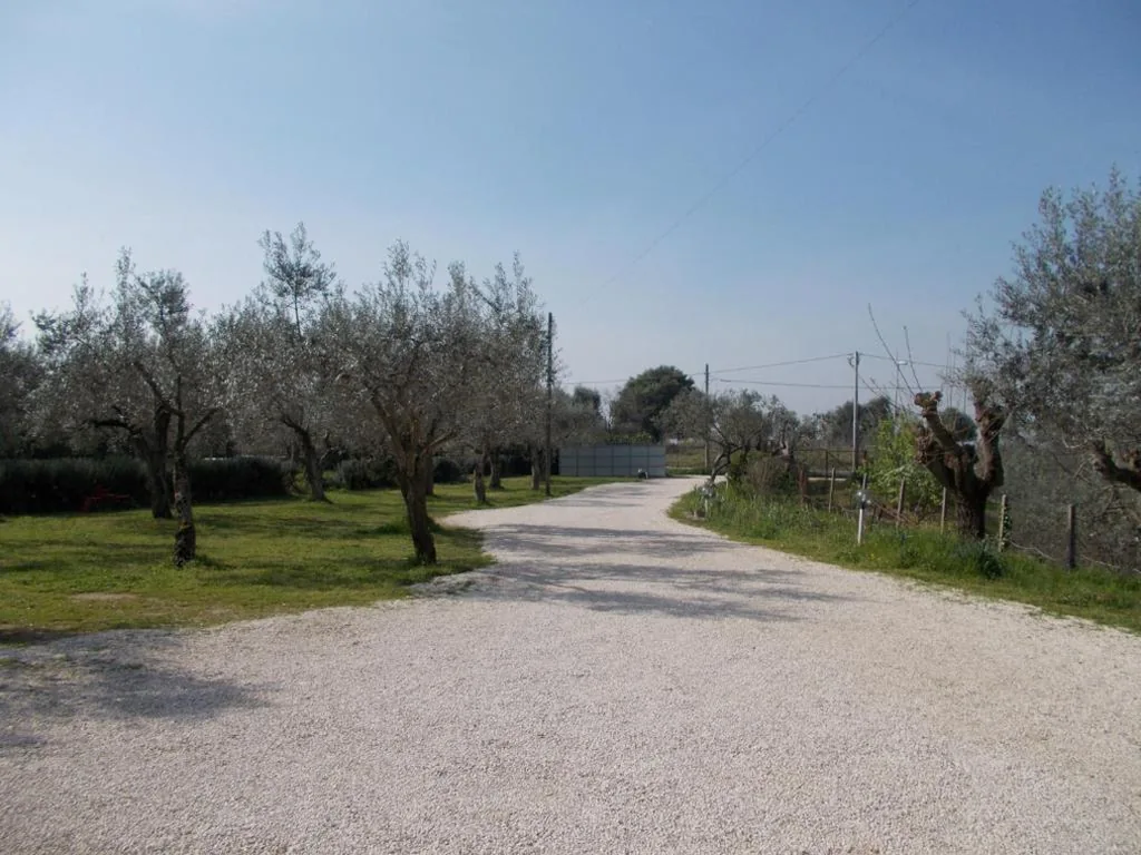 Casa Degli Ulivi — foto 6