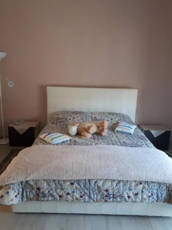 Casa delle orchidee — foto 7