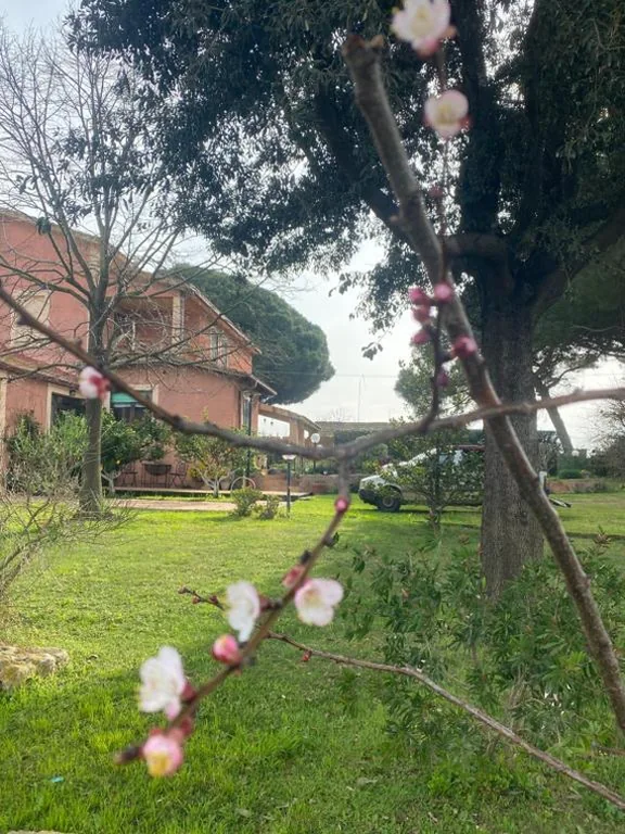 Casa Diana