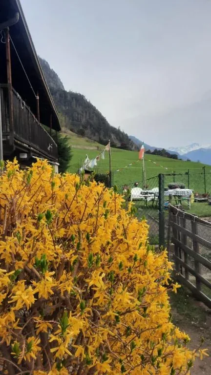 Casa Indipendente Val d’Ayas – Challand Saint Anselme — foto 3
