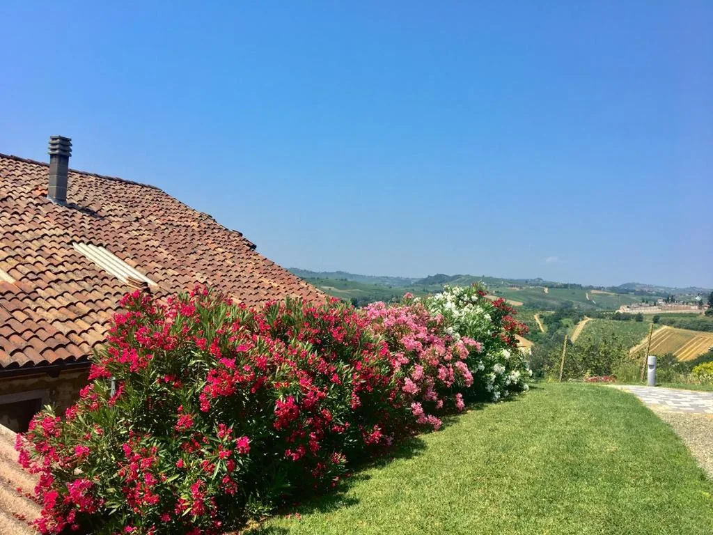 Casa Nizza D’Oro — foto 7