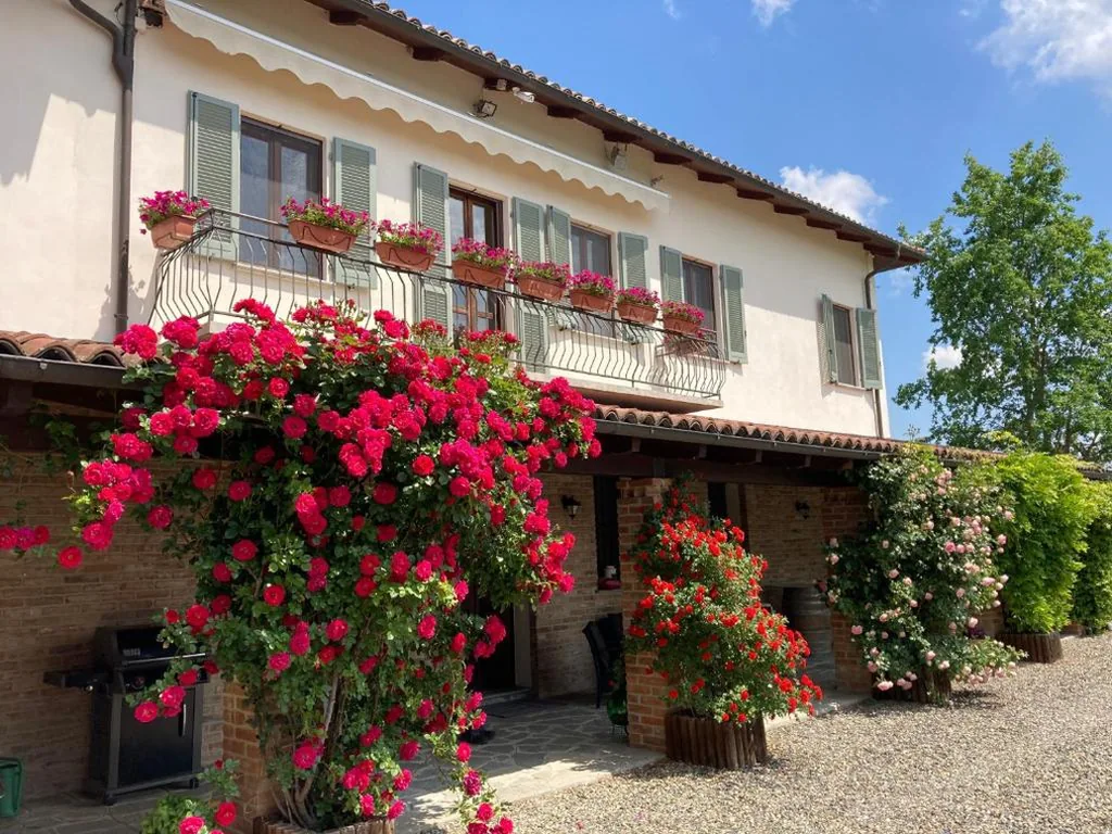 Casa Nizza D’Oro — foto 8