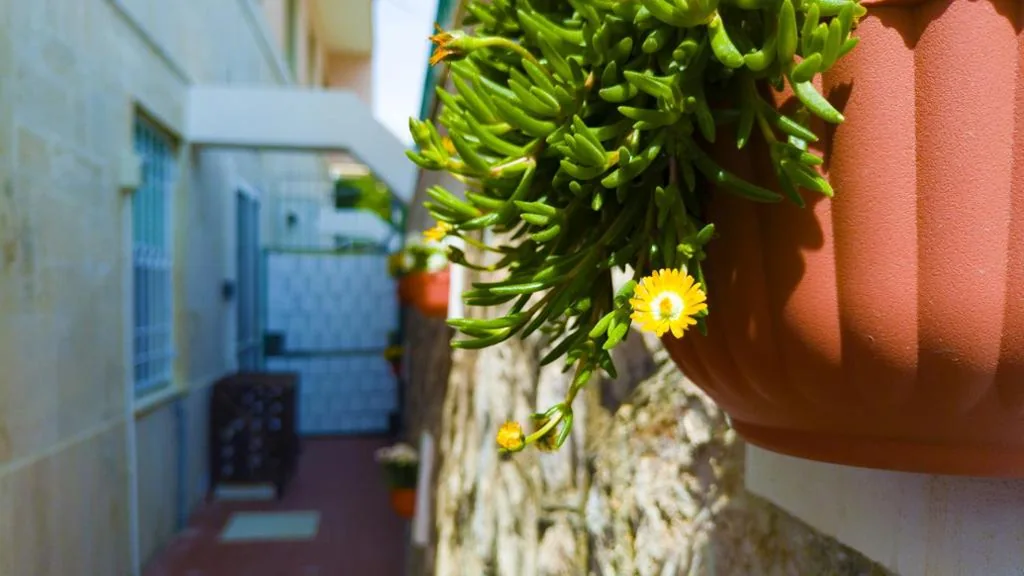 Casa Serapide — foto 4