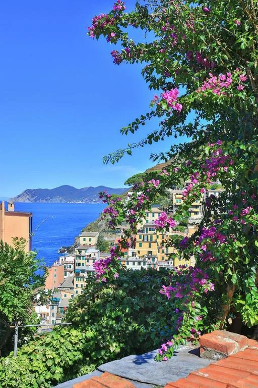 Casa Vacanze — 5 Terre For You
