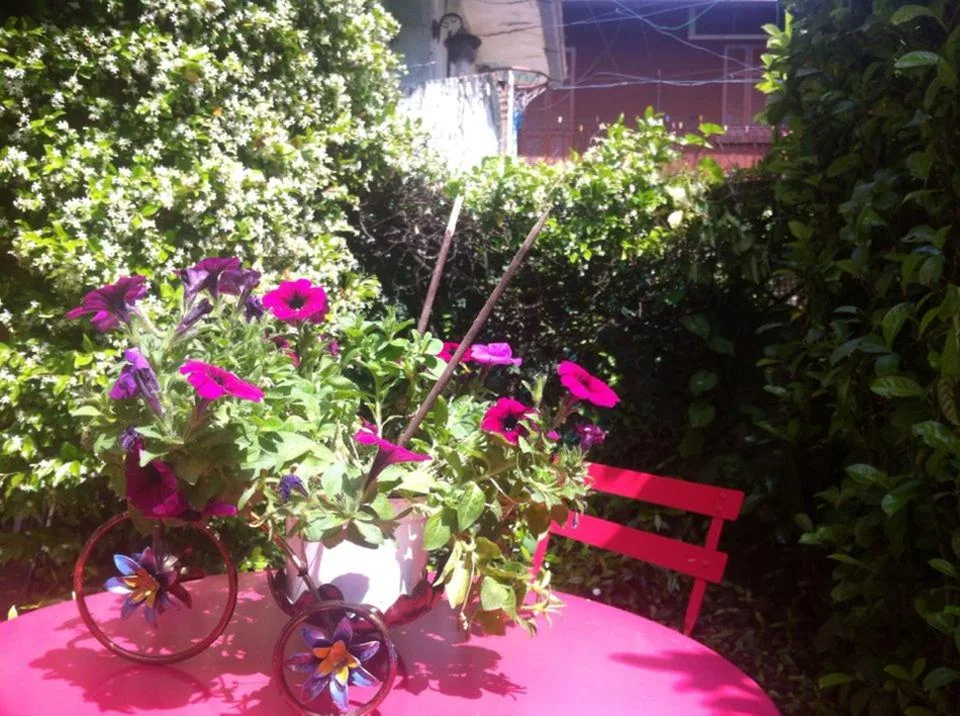 Holiday Home — Appartamento Lago Maggiore