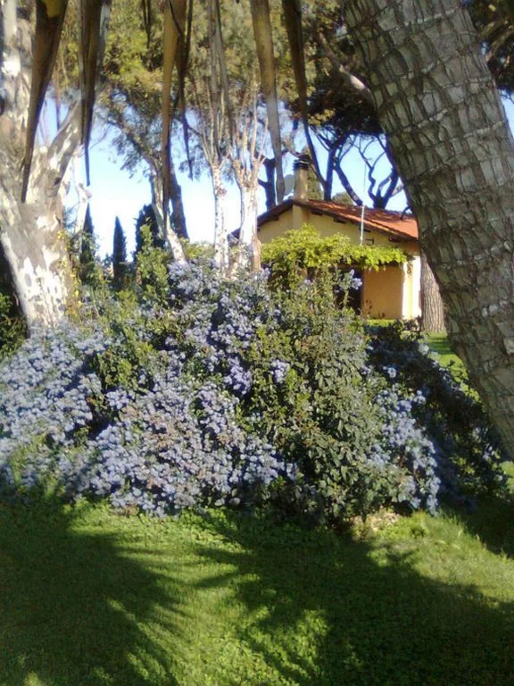 Casa Vacanze Vigna di Valle — foto 6