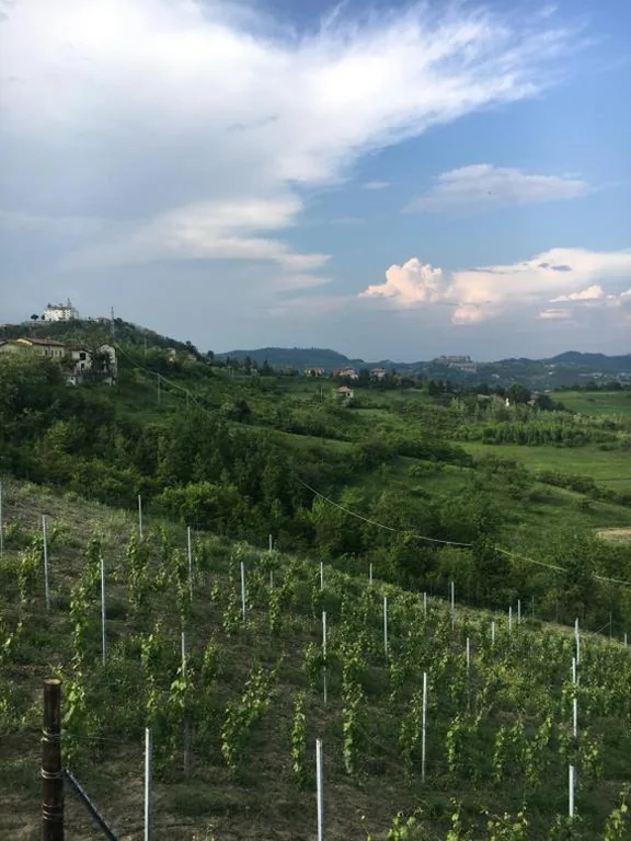 Cascina Angela — foto 5