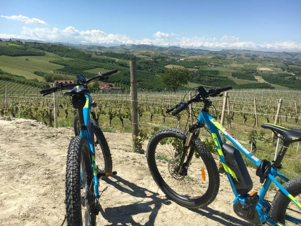 Cascina Baresane — foto 5