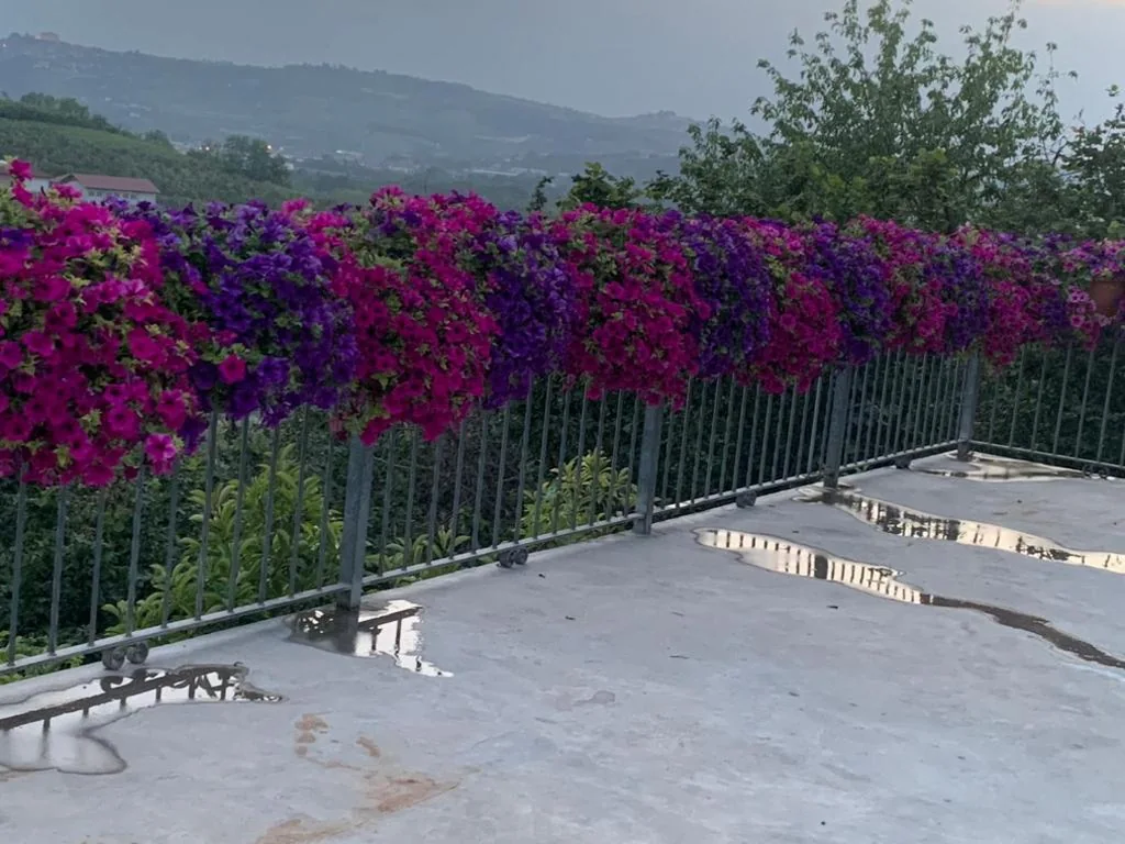 Cascina La Corte — foto 4