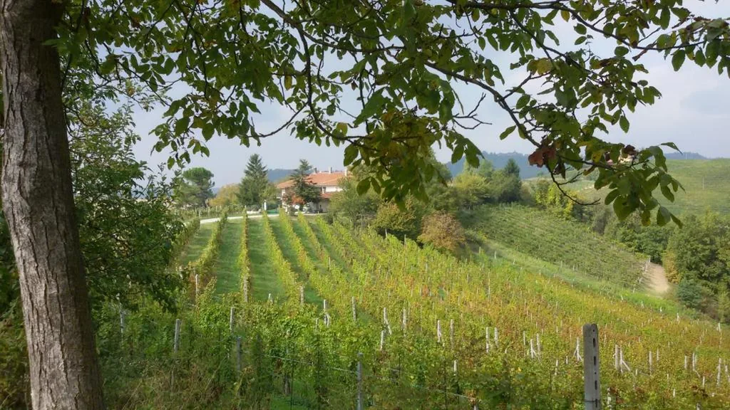 Cascina Torello — foto 3