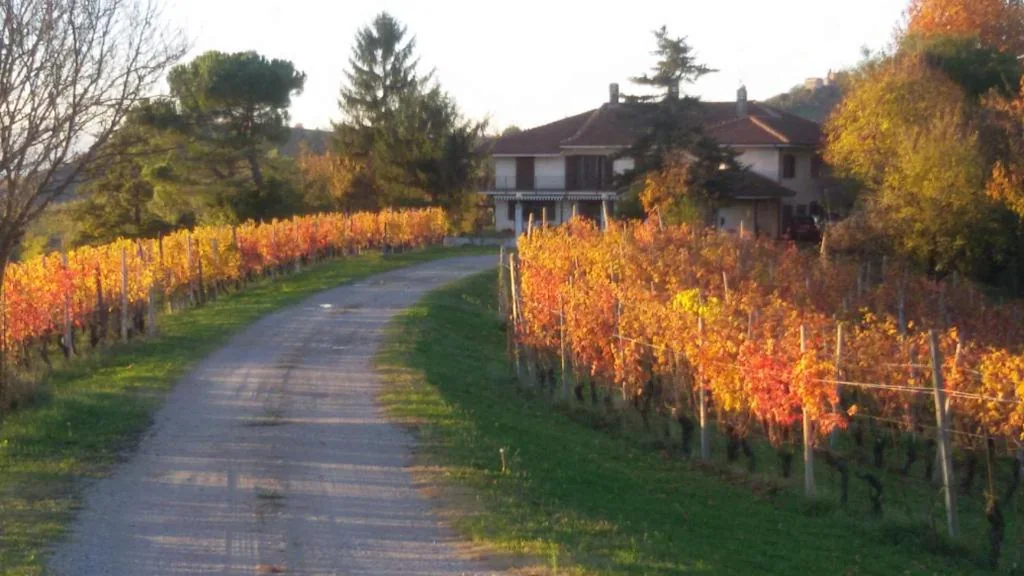 Cascina Torello — foto 8