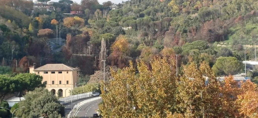 Casetta clodio — foto 6