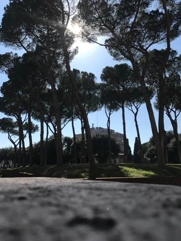 Cassiodoro19 — foto 4