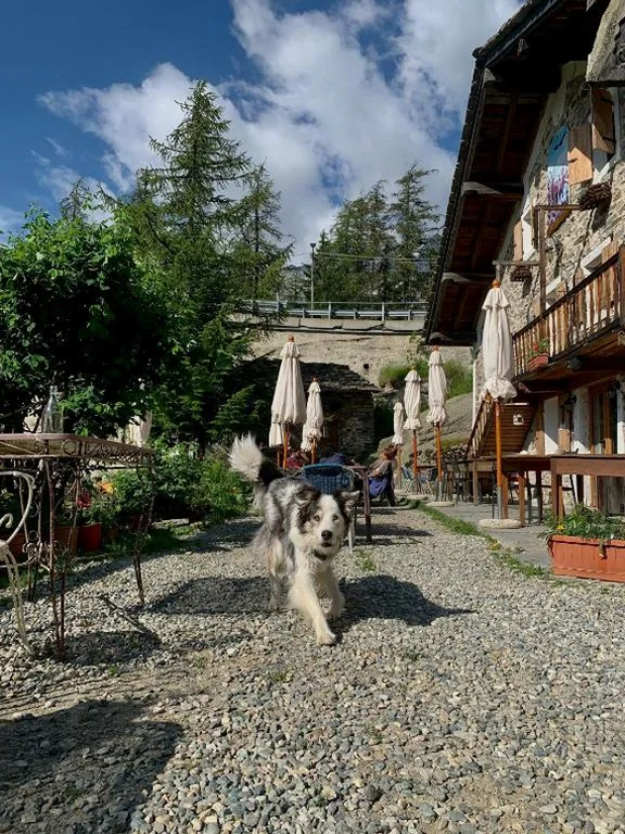 Chalet del Lago — foto 8