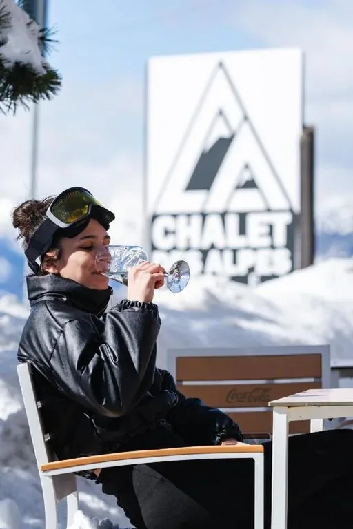 CHALET DES ALPES — foto 7