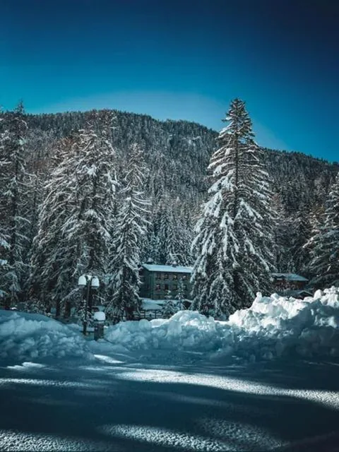 Chalet Eden Eco Hotel, Restaurant & Wellness