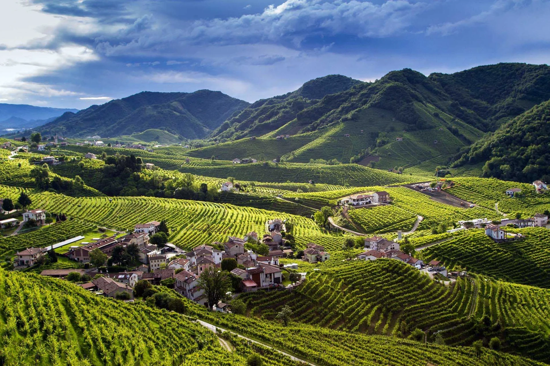 Le colline di vigneti del Prosecco a Valdobbiadene