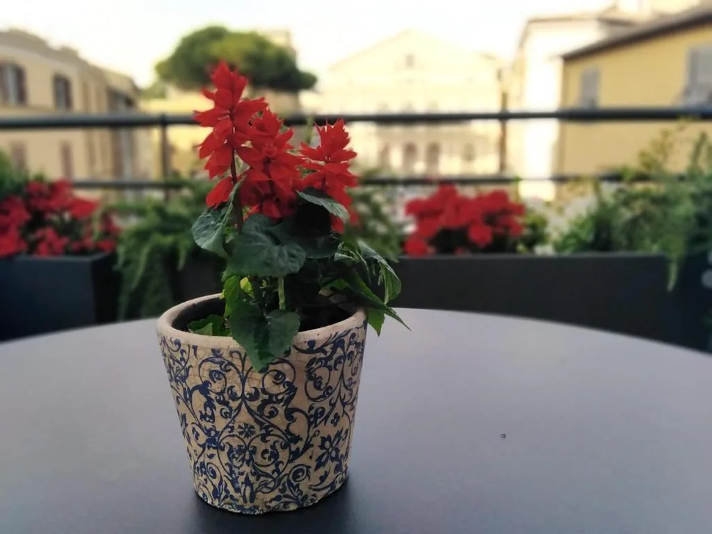 Compasso Suites — foto 8