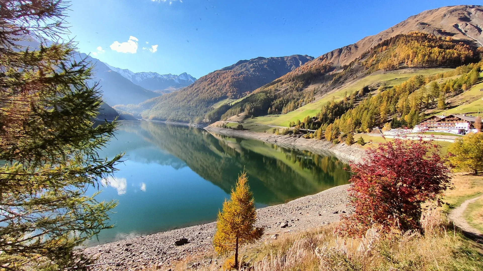 Cosa fare in Alto Adige in autunno: Törggelen, foliage e mele