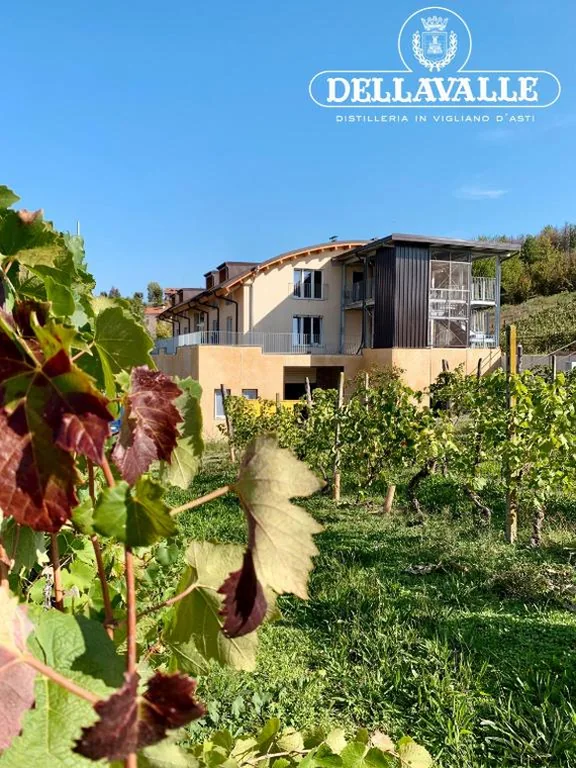 Dellavalle Guest House — foto 5
