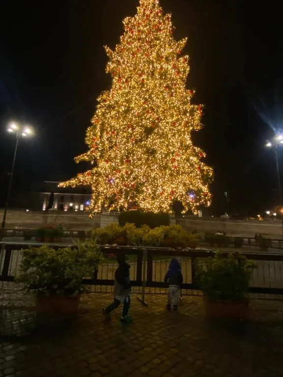 Domum Vaticani — foto 7
