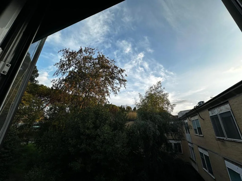 Domus Olimpionici — foto 6