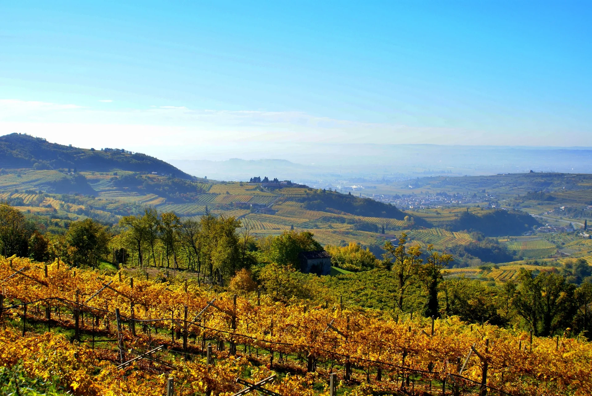 Dove dormire in Valpolicella e a Soave: le colline del vino