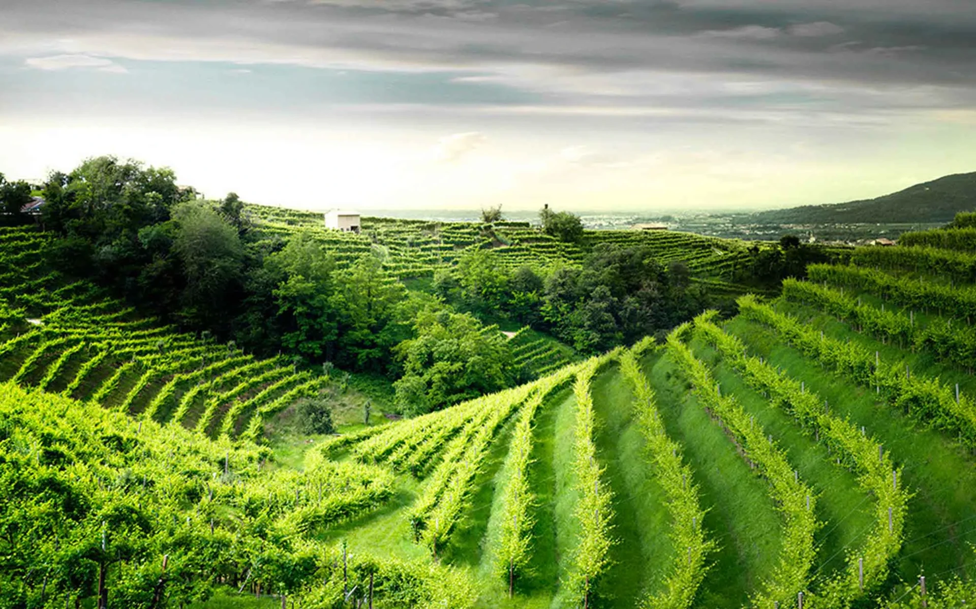 Dove dormire sulle Colline del Prosecco: Valdobbiadene e Conegliano