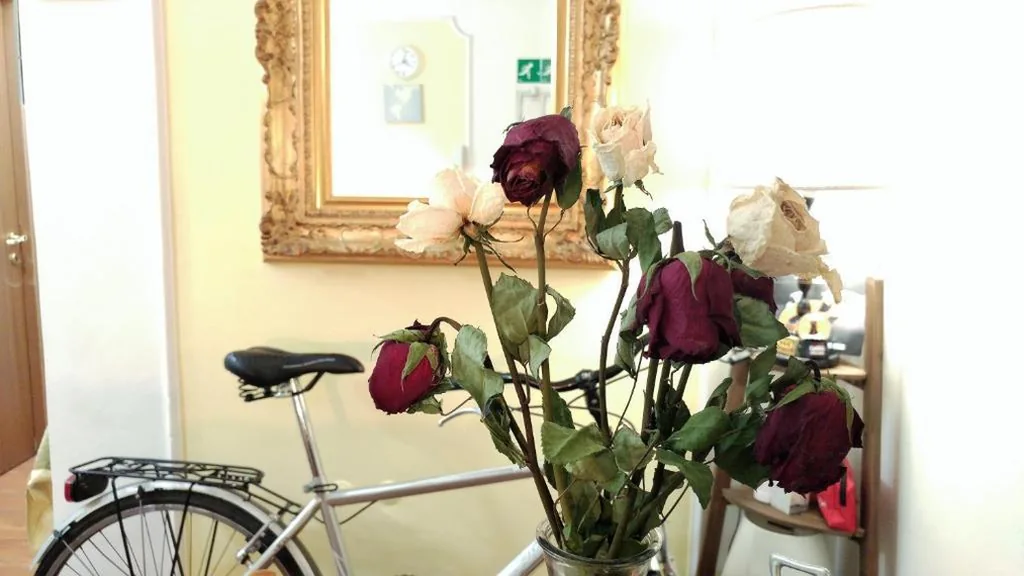 Dreaming Navona Rooms — foto 5