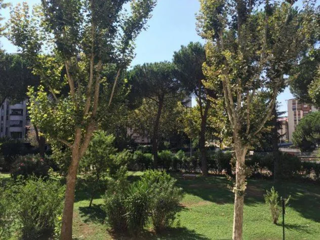 ELA GUEST HOUSE — foto 5