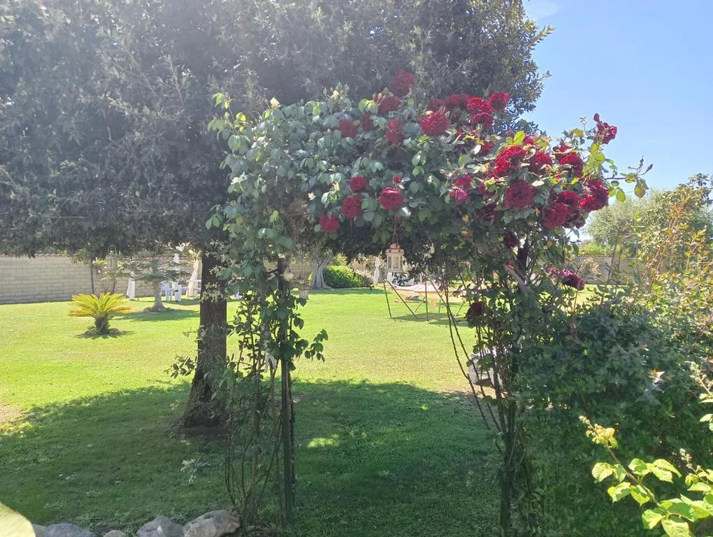 Elegance B&B — foto 8
