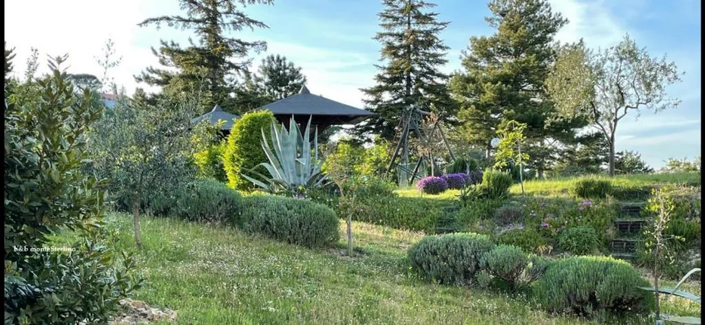 Bed & Breakfast Montesterlino — foto 5
