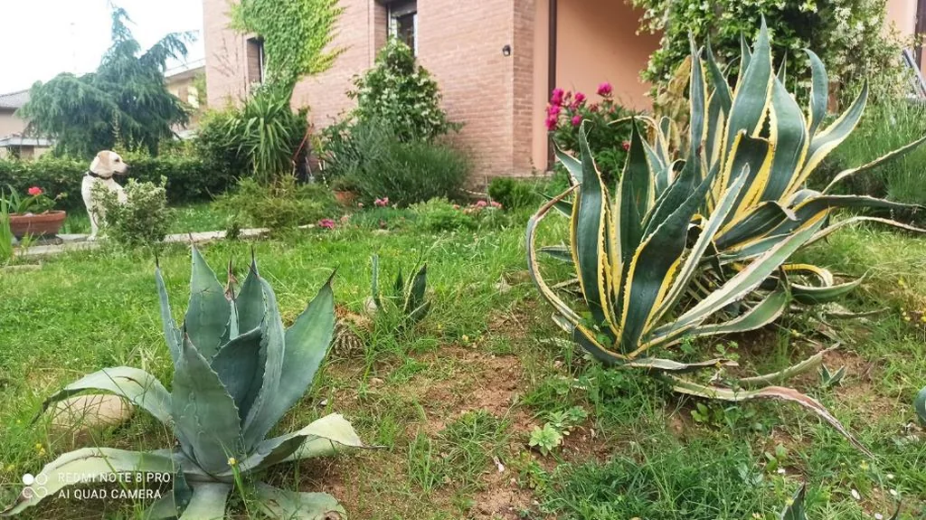 Casa con 2 Camere da Letto — Casa VINCENZO 130 mq con portico ed ingresso esclusivo dal giardino