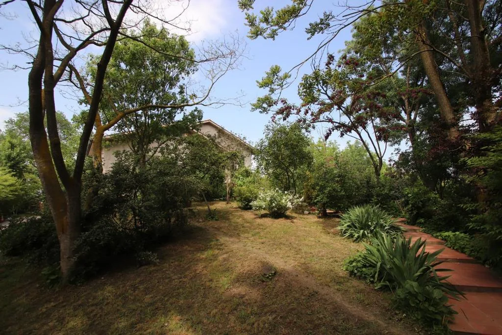 La Casa nel Bosco — foto 6