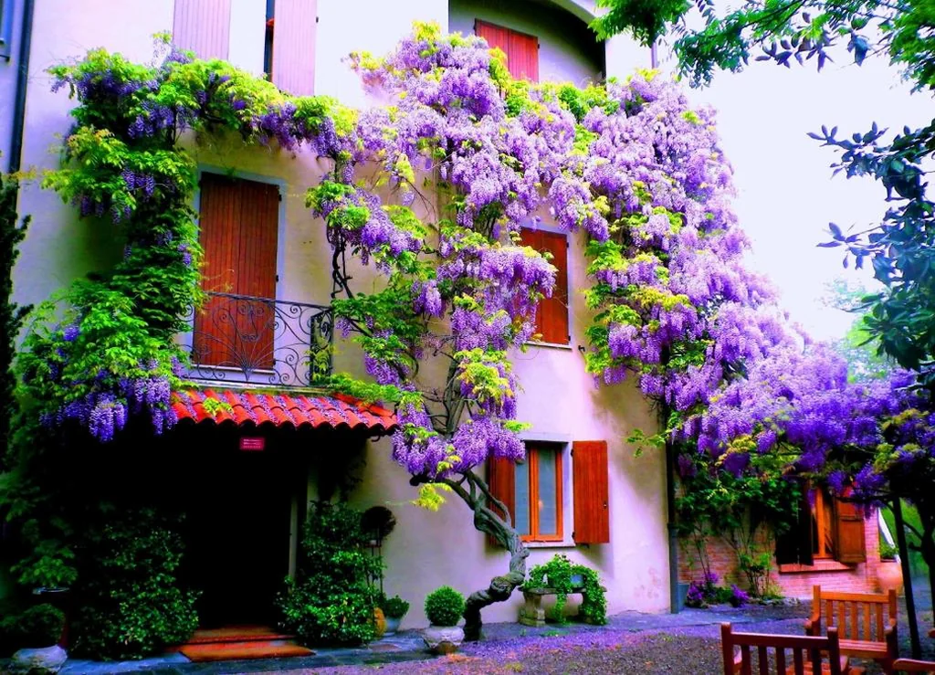 Le Querce Hotel — foto 6
