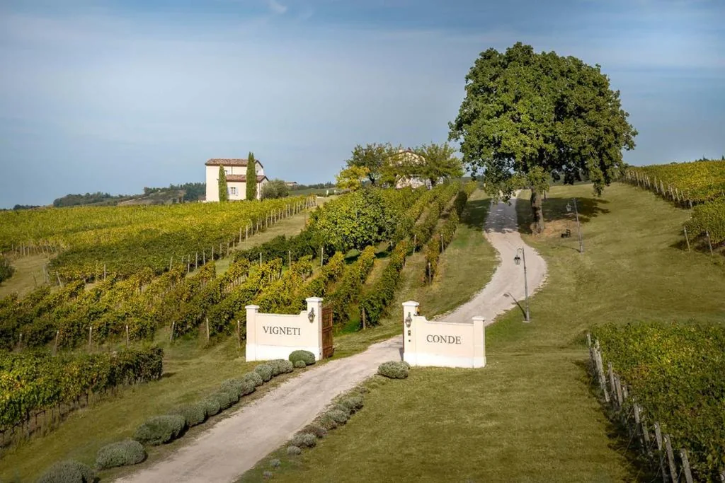 Suite Superior King — Borgo Conde Wine Resort
