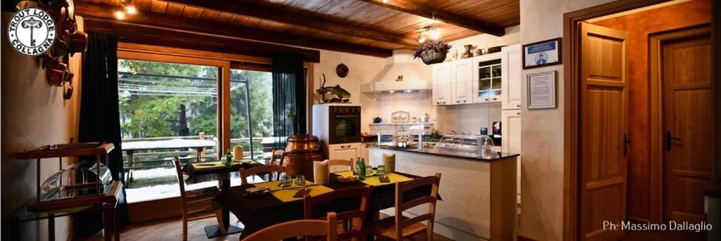 Trout Lodge — foto 5