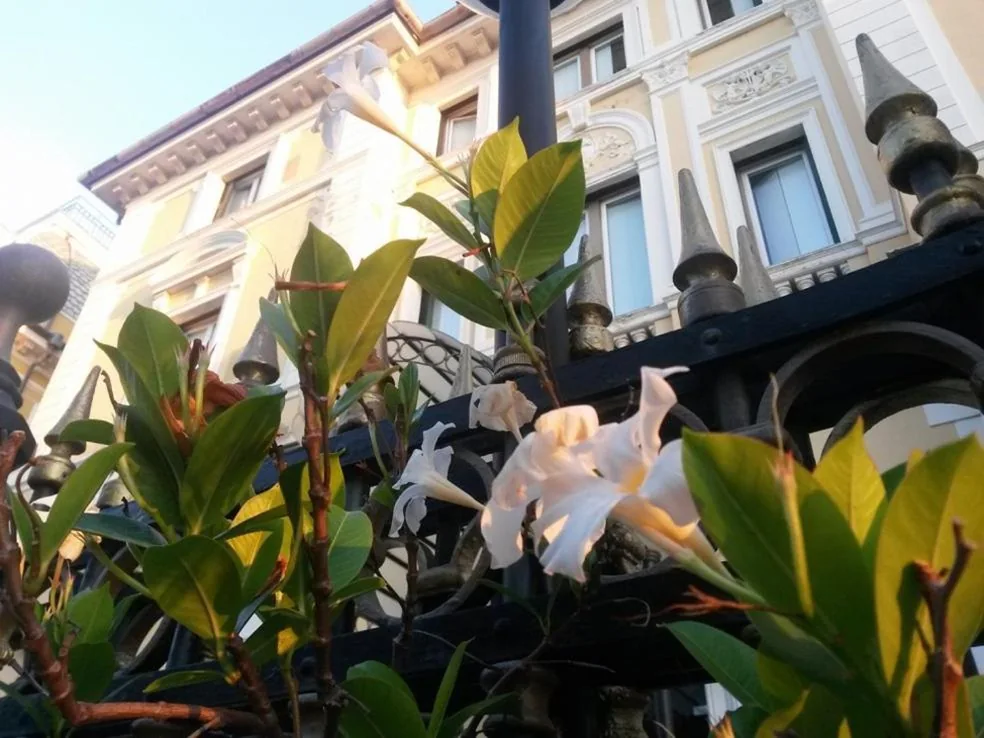 Ena Hotel — foto 6
