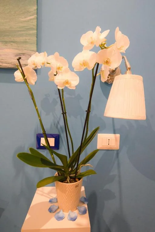 Etere in Prati Rooms — foto 6