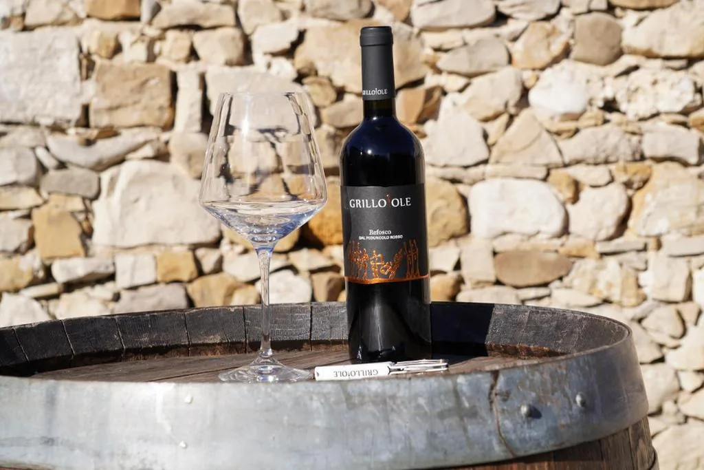 Agriturismo Grillo Iole Winery — foto 8