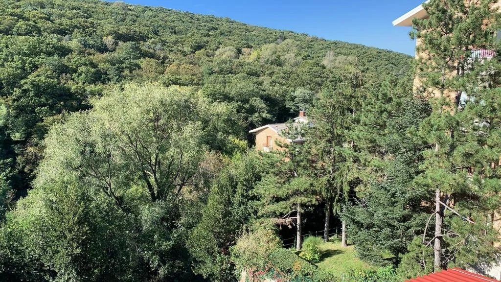 Al bosco incantato — foto 6