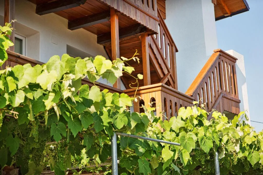 Albergo Diffuso “Col Gentile” Socchieve — foto 4