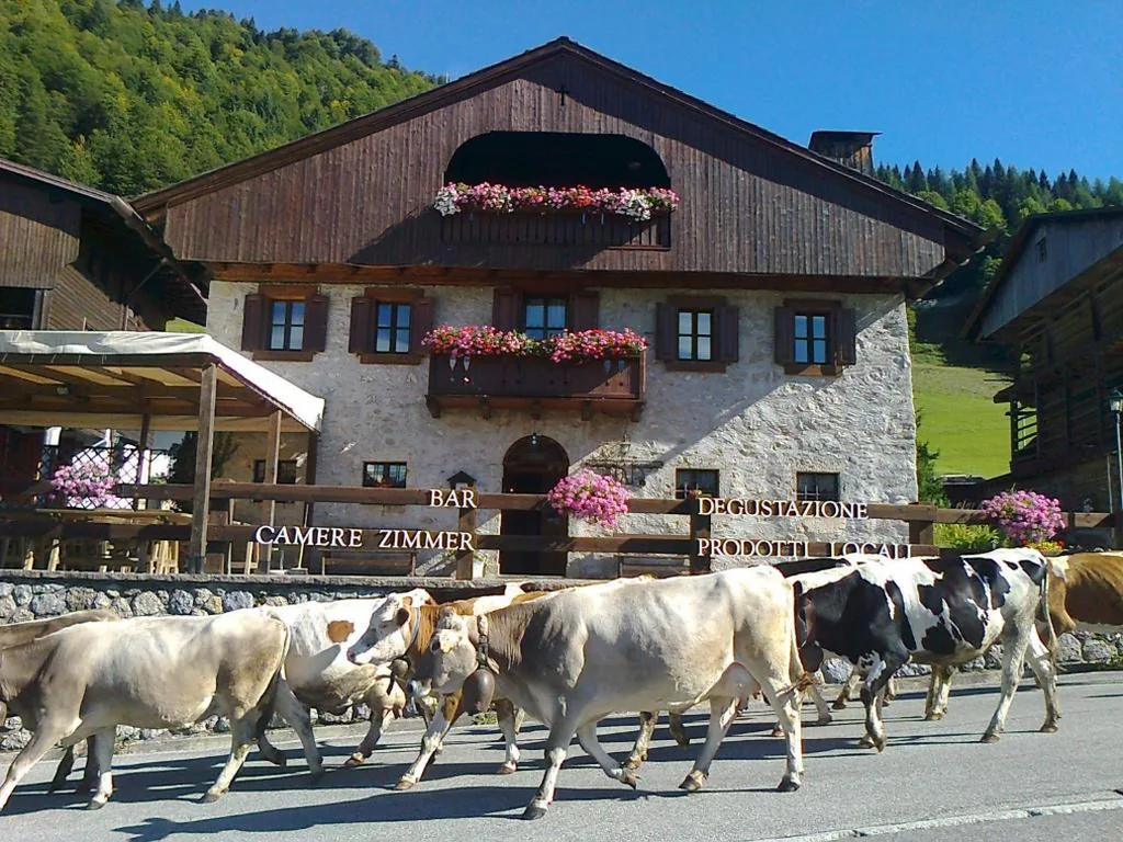 Albergo Pa' Krhaizar a Sauris, tra le case walser