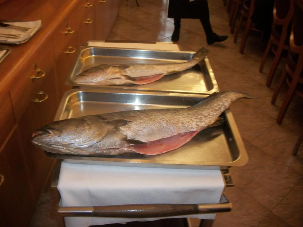 Albergo Ristorante Belvedere — foto 7