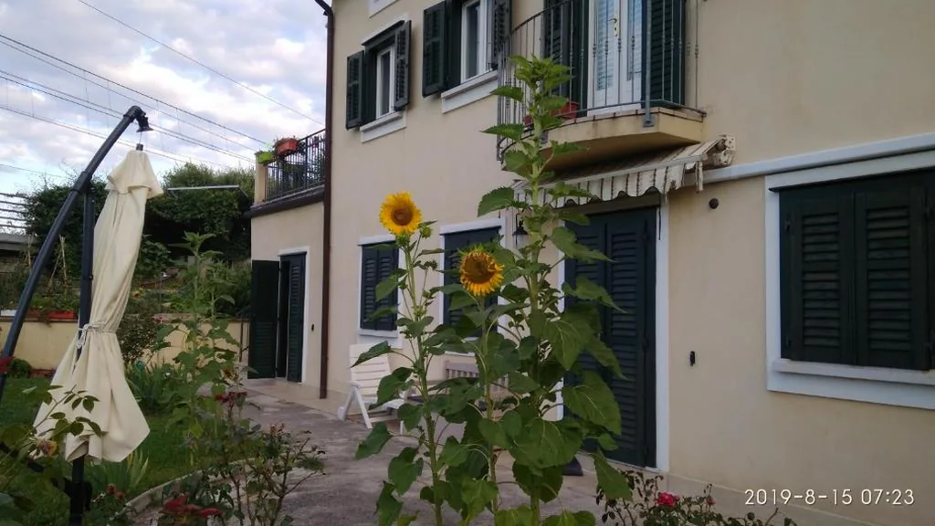 Alle rose barcolane — foto 8