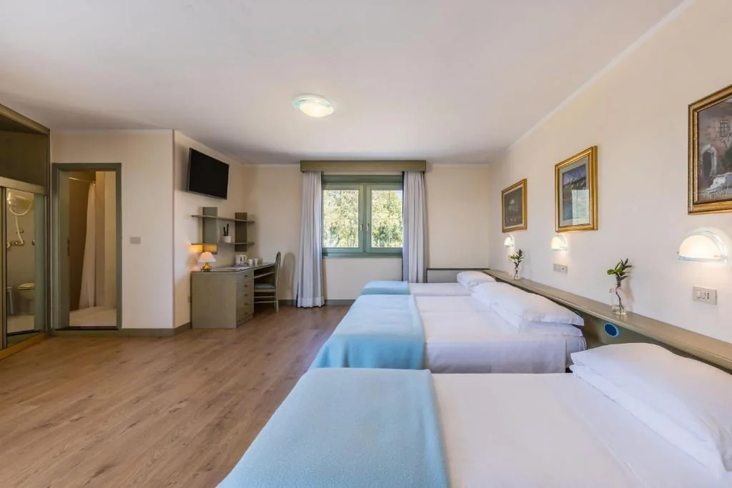Aviano Palace Hotel — foto 8