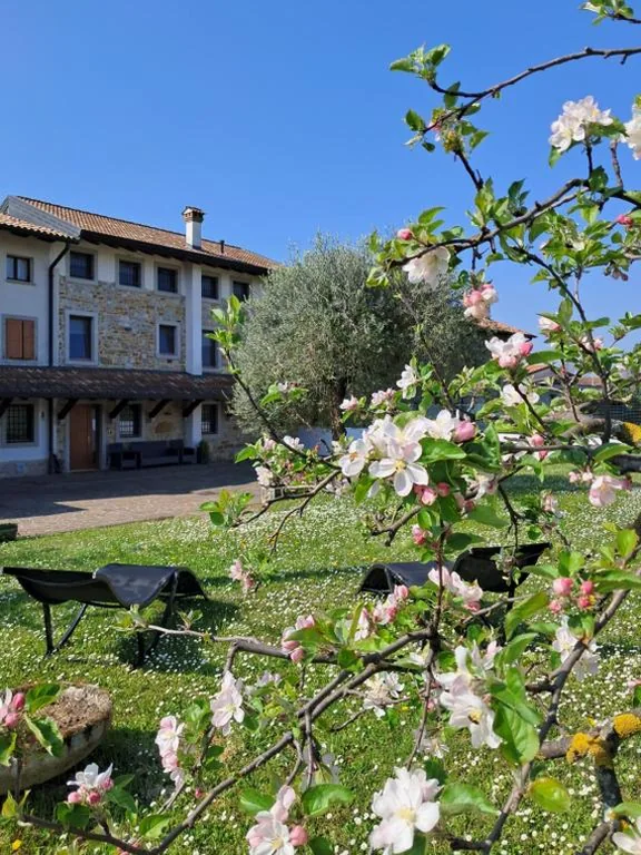 b&b Ergira — foto 6