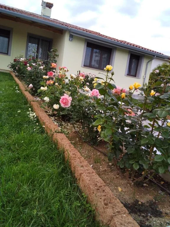 B&B Fili d’erba