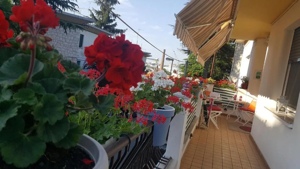 B&B Gasiso — foto 7