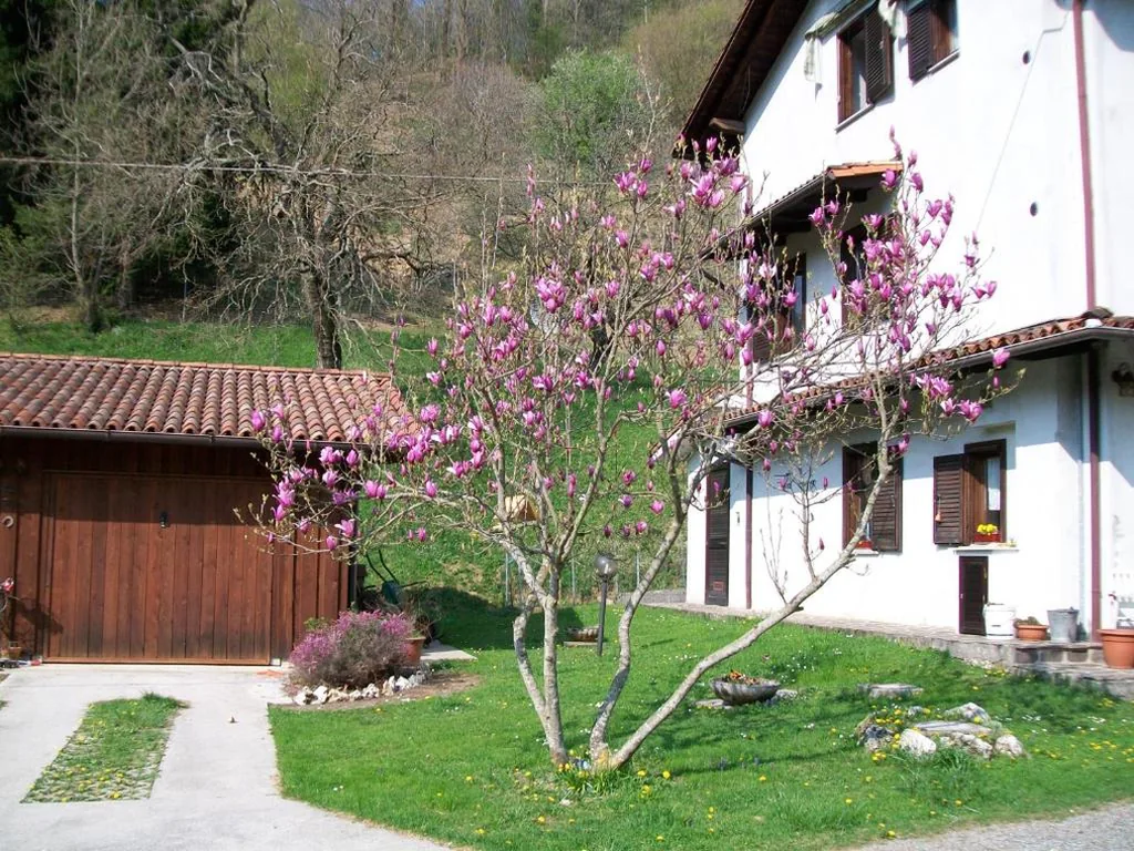 B&B IN FATTORIA — foto 7